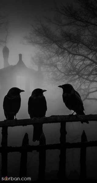  عکس پروفایل ترند جدید با کیفیت بالا