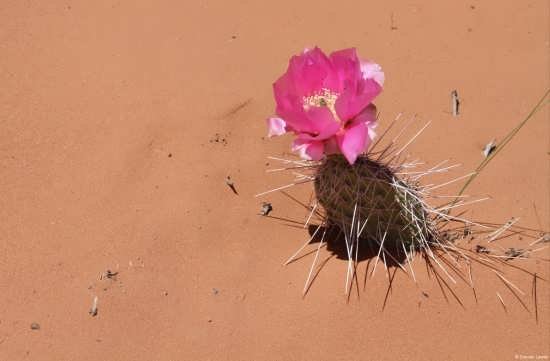  عکس مفهومی هنری بدون چهره
