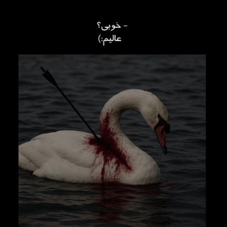  پروفایل غمگین تنهایی بدون متن