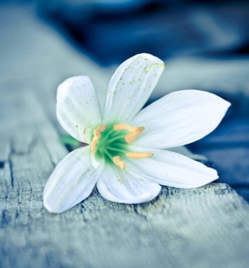  عکس پروفایل ساده برای واتساپ