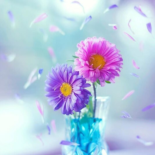  عکس پروفایل ساده برای واتساپ