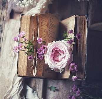  عکس پروفایل ساده برای واتساپ