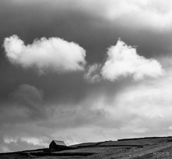  عکس طبیعت مه آلود سیاه سفید