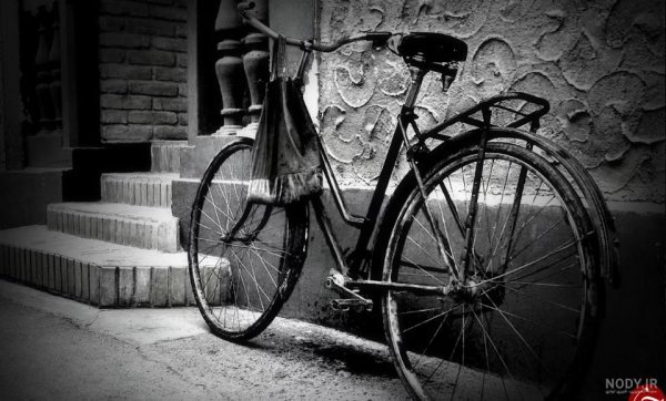  عکس طبیعت مه آلود سیاه سفید