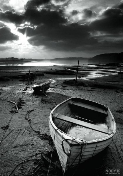  عکس طبیعت مه آلود سیاه سفید