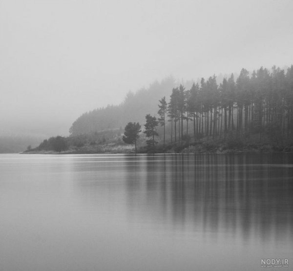  عکس طبیعت مه آلود سیاه سفید