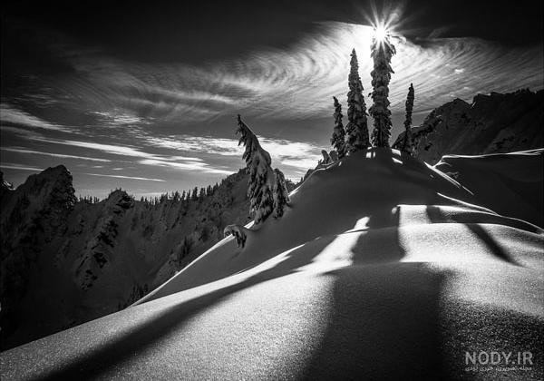  عکس طبیعت مه آلود سیاه سفید