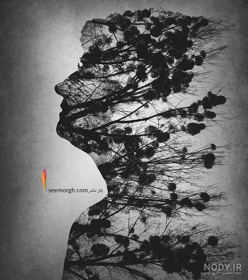  عکس طبیعت مه آلود سیاه سفید