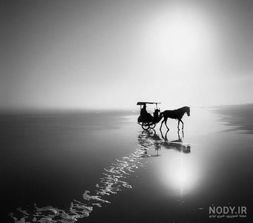  عکس طبیعت مه آلود سیاه سفید