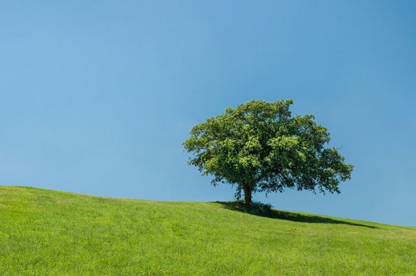  عکس طبیعت خاص و متفاوت