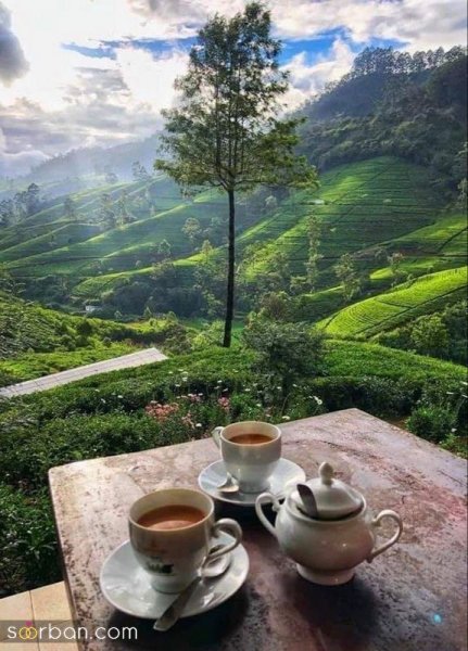  عکس منظره هنری