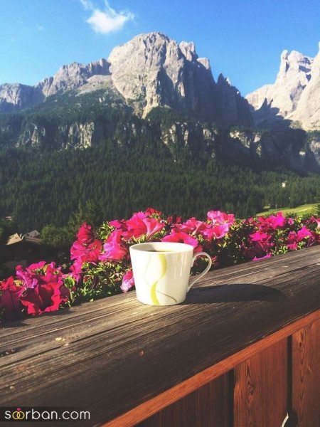  عکس منظره هنری