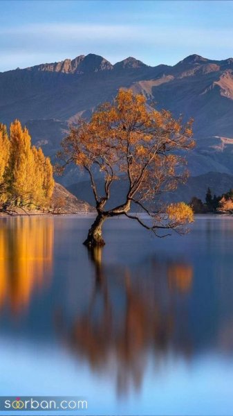  عکس منظره هنری