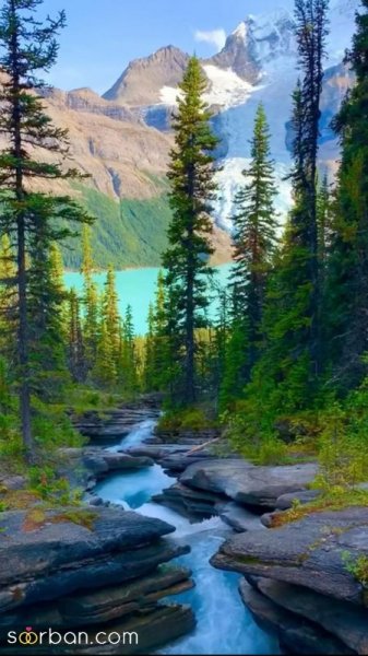  عکس منظره هنری