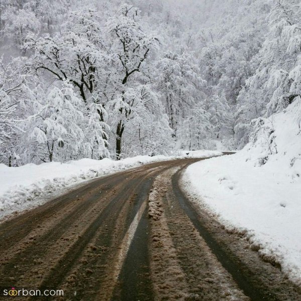  عکس منظره هنری