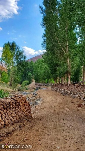  عکس منظره هنری