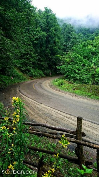  عکس منظره هنری