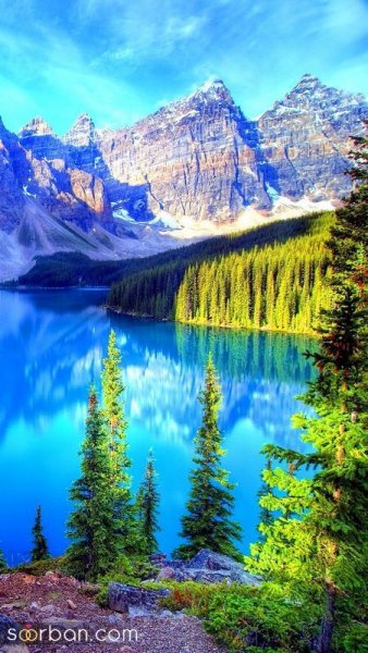  عکس منظره هنری