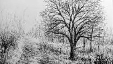  عکس نقاشی منظره طبیعت