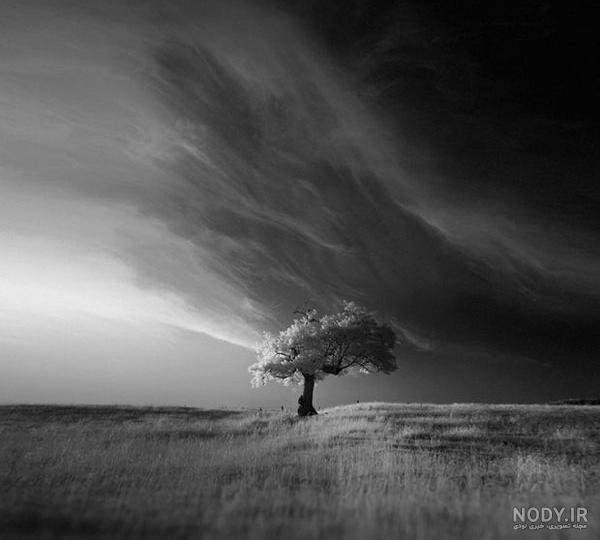  عکس طبیعت سیاه سفید