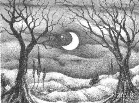  عکس طبیعت سیاه سفید