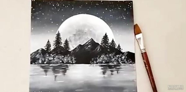  عکس طبیعت سیاه سفید