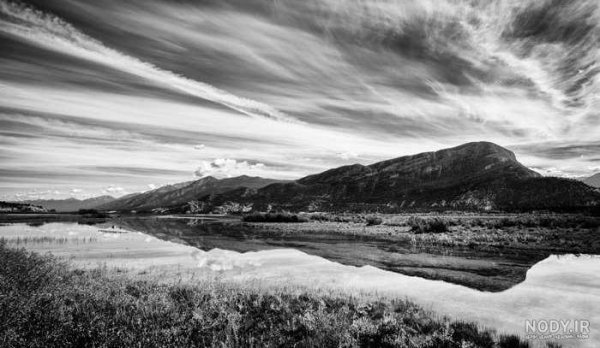  عکس طبیعت سیاه سفید