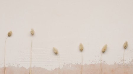 عکس طبیعت مینیمال