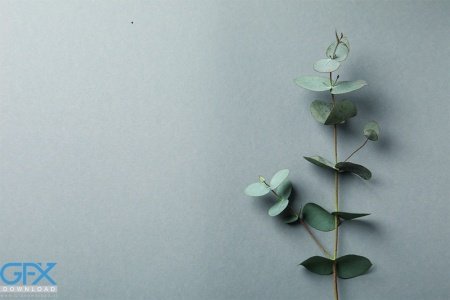  عکس طبیعت مینیمال