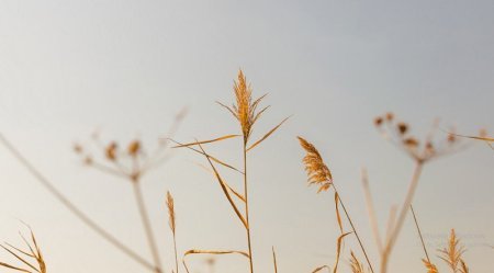  عکس طبیعت مینیمال