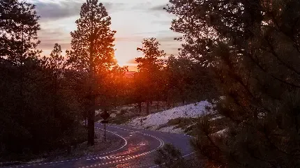  دانلود عکس های مدرن با کیفیت