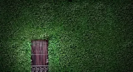  دانلود عکس های مدرن با کیفیت