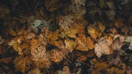  دانلود عکس های مدرن با کیفیت