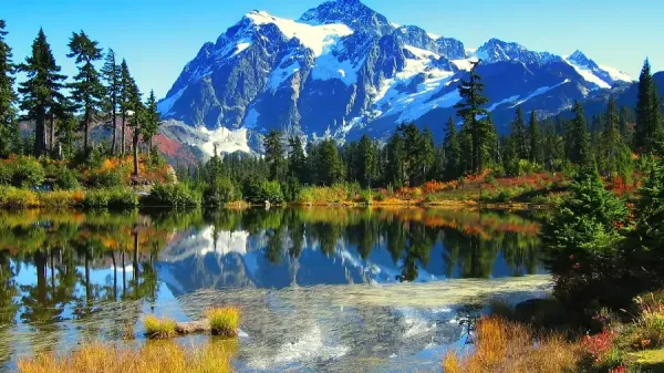  دانلود عکس تابلو با کیفیت بالا