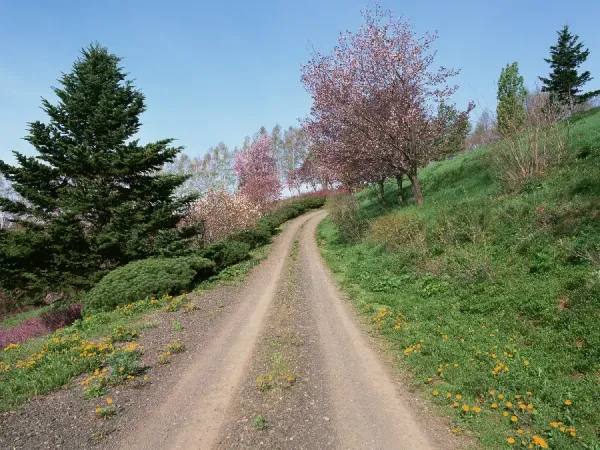  دانلود عکس تابلو با کیفیت بالا