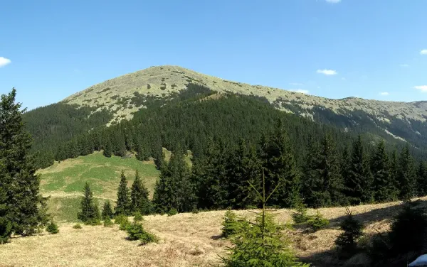  دانلود عکس تابلو با کیفیت بالا