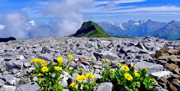  دانلود عکس تابلو با کیفیت بالا