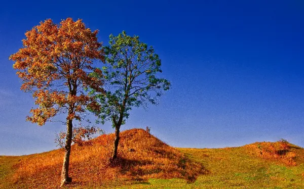  دانلود عکس تابلو با کیفیت بالا