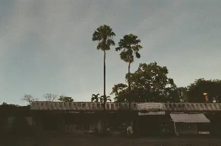  دانلود رایگان عکس برای تابلو دکوراتیو