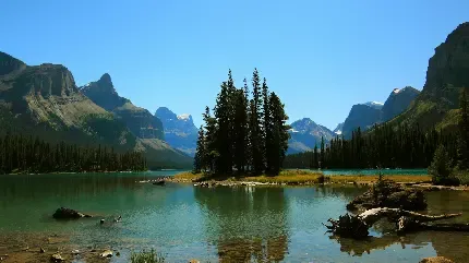  دانلود رایگان عکس برای تابلو دکوراتیو