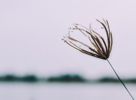 عکس پروفایل مینیمال