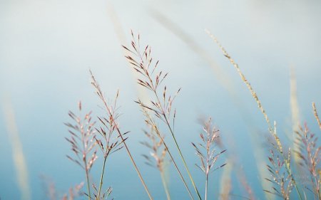  عکس پروفایل مینیمال