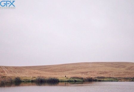  عکس پروفایل مینیمال