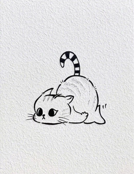  عکس مینیمال مفهومی