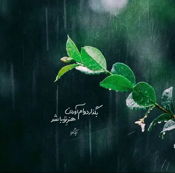  عکس انرژی مثبت بدون متن