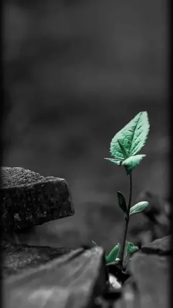  عکس انرژی مثبت بدون متن