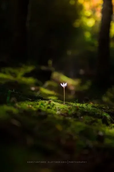  عکس انرژی مثبت بدون متن