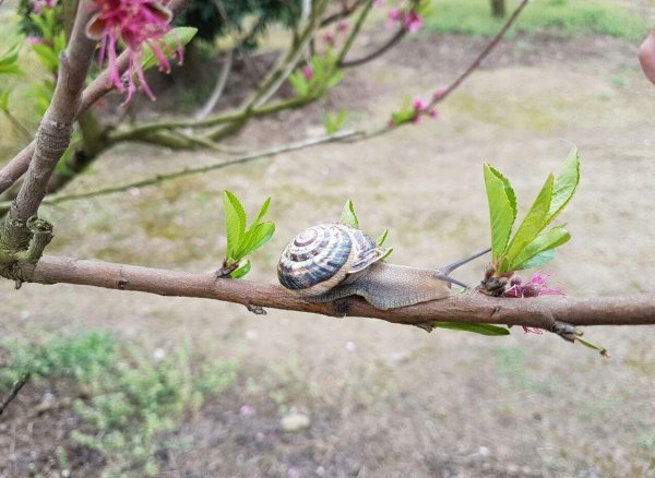  عکس پروفایل خاص بدون متن