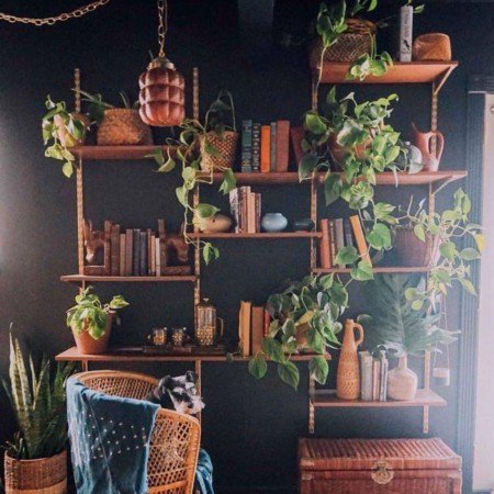  عکس دخترونه لاکچری با کتاب