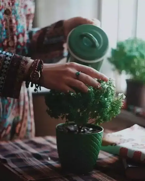  عکس پروفایل دخترونه سنتی ایرانی